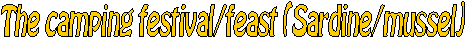 Fiesta del Camping (Sardinada y mejillonada)